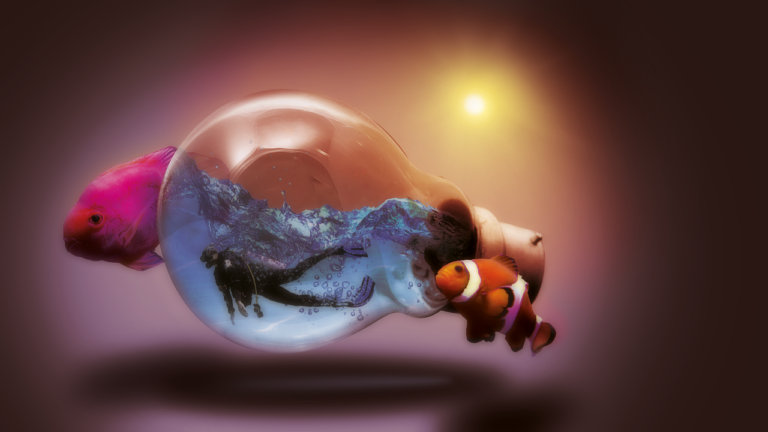 Ile kosztuje sum do akwarium